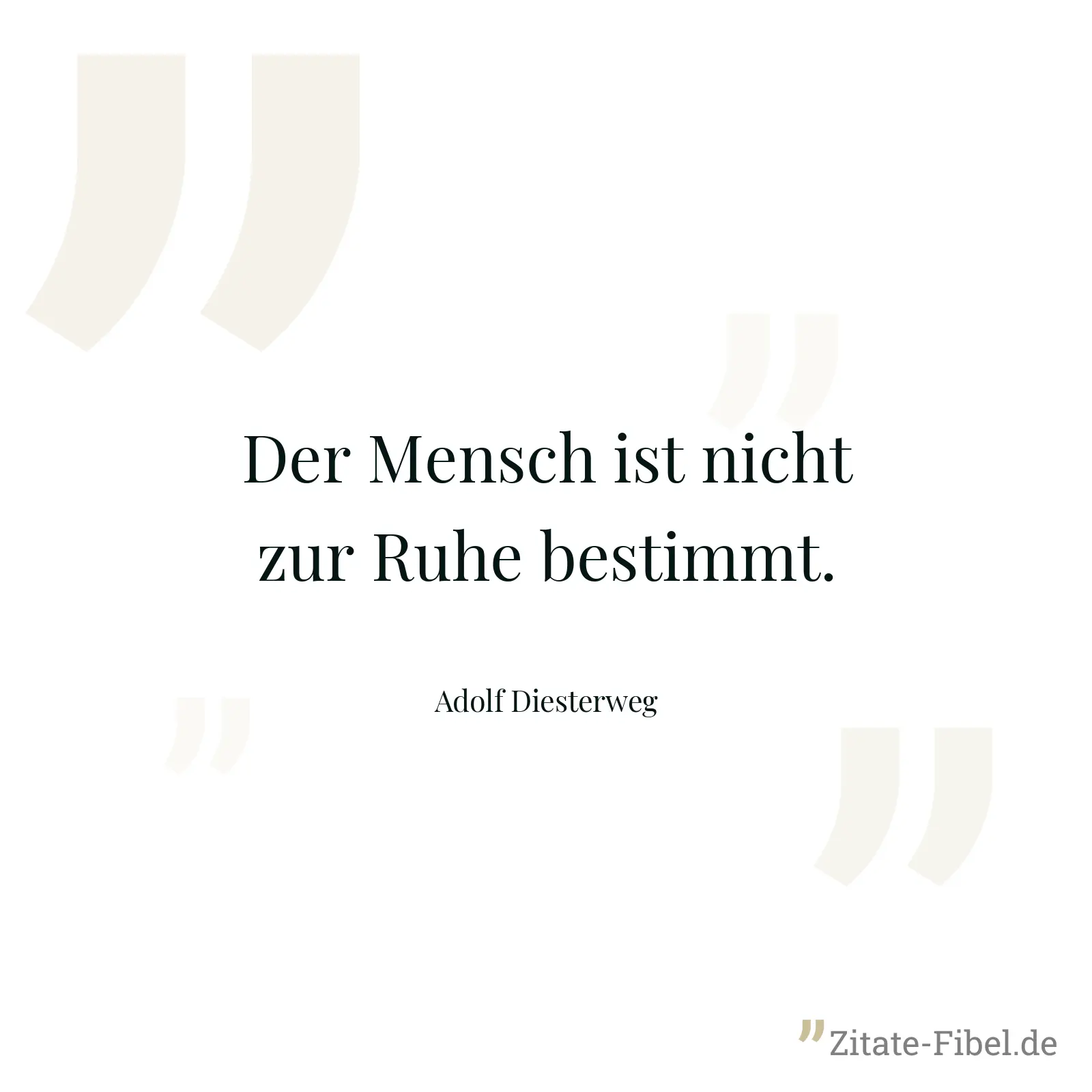 Der Mensch ist nicht zur Ruhe bestimmt. - Adolf Diesterweg