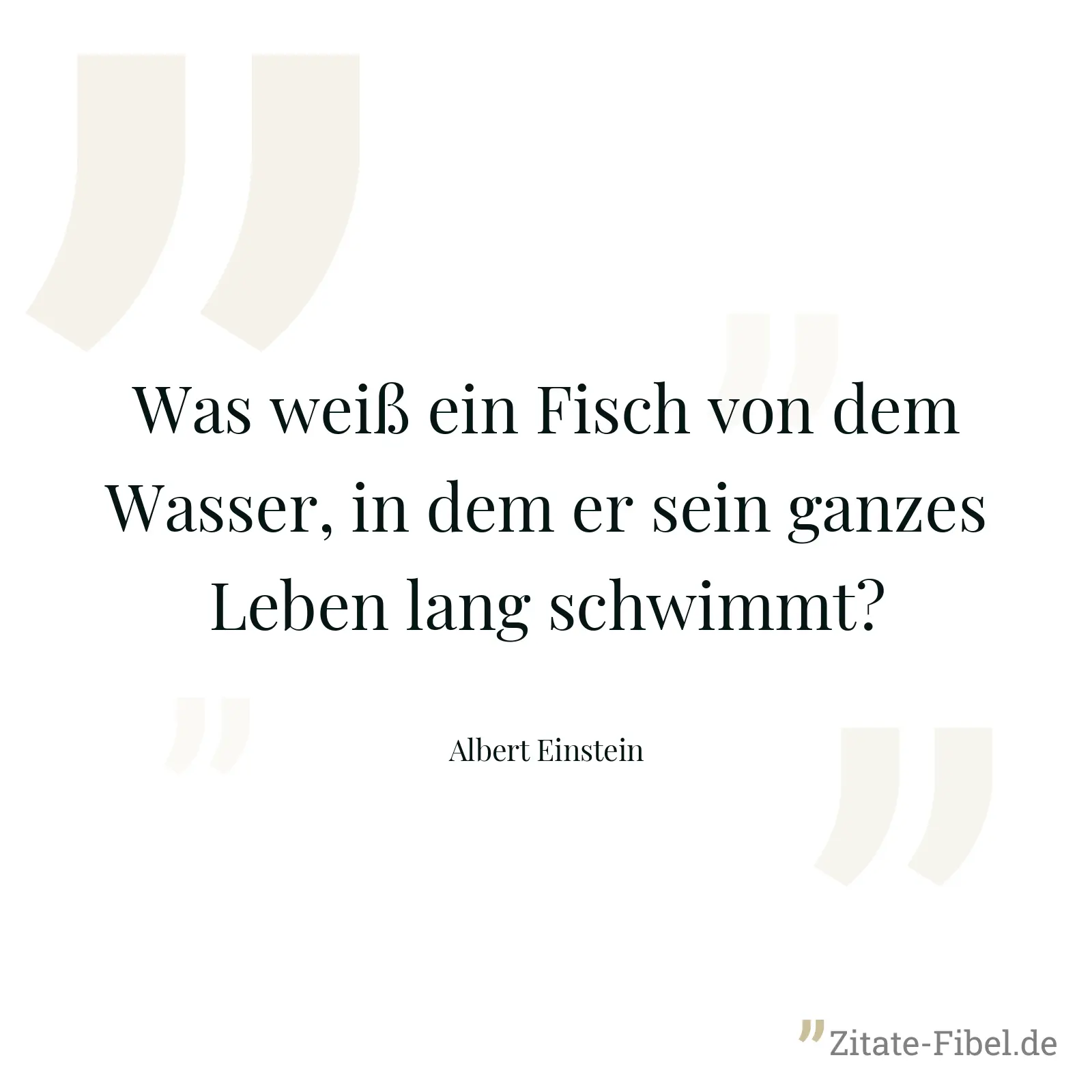 Was weiß ein Fisch von dem Wasser, in dem er sein ganzes Leben lang schwimmt? - Albert Einstein
