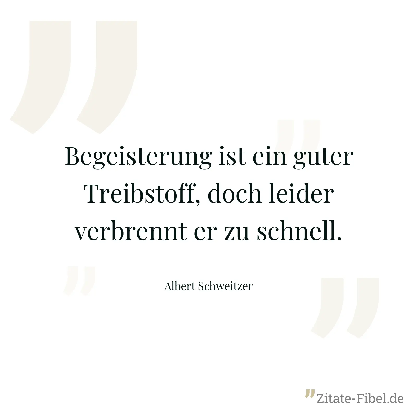 Begeisterung ist ein guter Treibstoff, doch leider verbrennt er zu schnell. - Albert Schweitzer