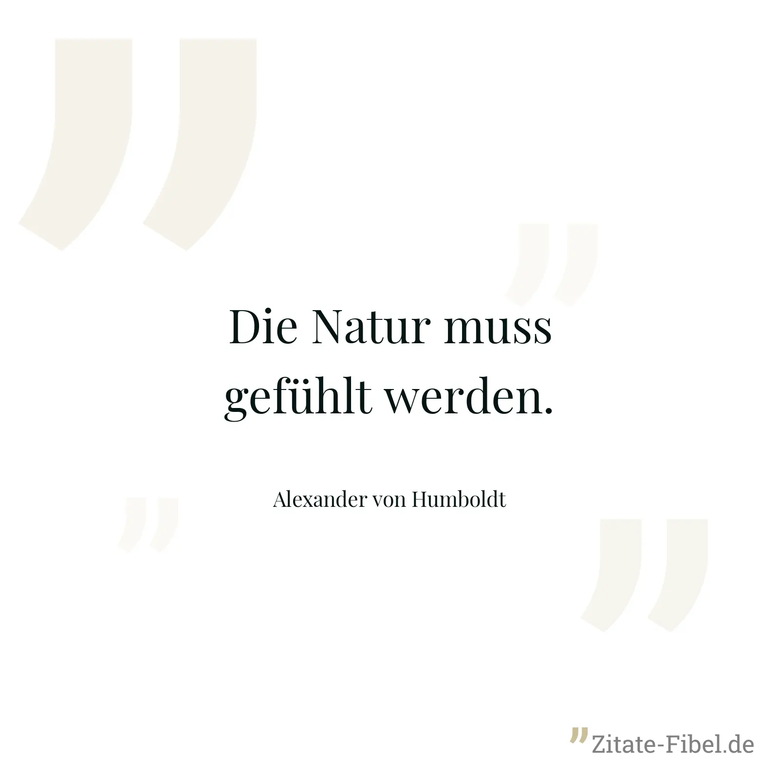 Die Natur muss gefühlt werden. - Alexander von Humboldt