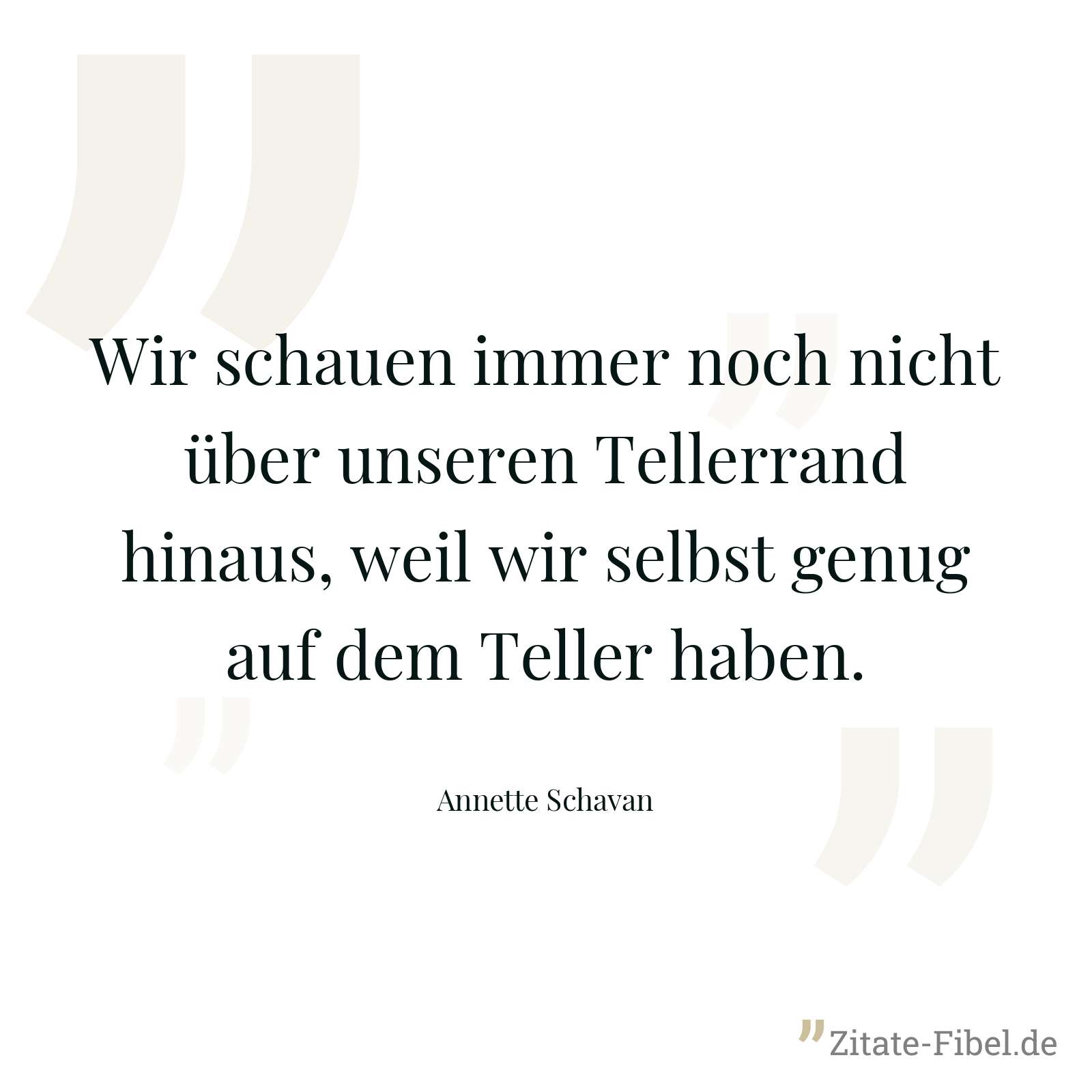 Wir schauen immer noch nicht über unseren Tellerrand hinaus, weil wir selbst genug auf dem Teller haben. - Annette Schavan