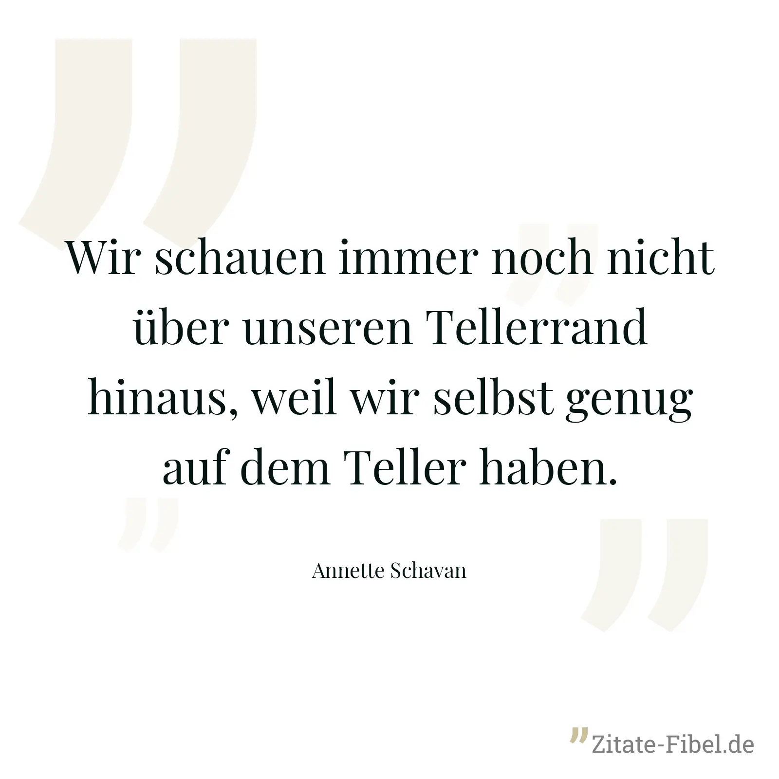 Wir schauen immer noch nicht über unseren Tellerrand hinaus, weil wir selbst genug auf dem Teller haben. - Annette Schavan