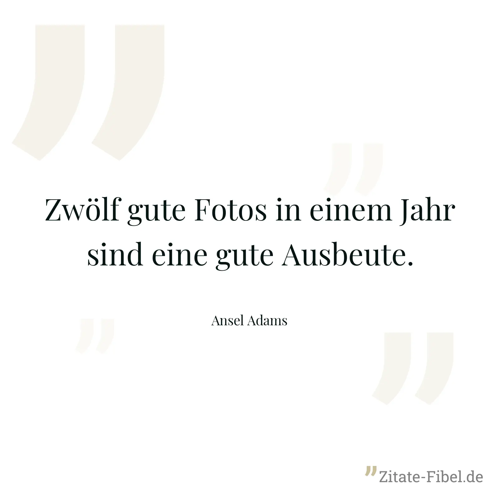 Zwölf gute Fotos in einem Jahr sind eine gute Ausbeute. - Ansel Adams
