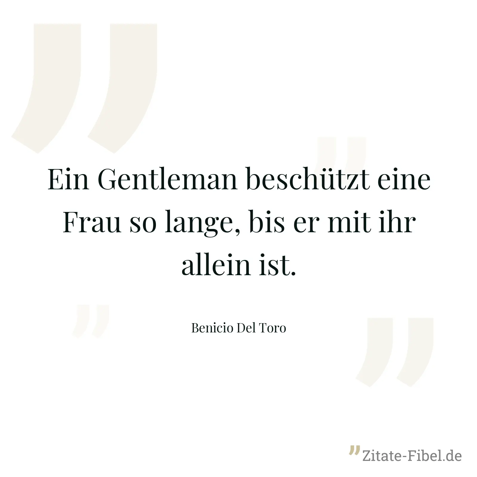 Ein Gentleman beschützt eine Frau so lange, bis er mit ihr allein ist. - Benicio Del Toro