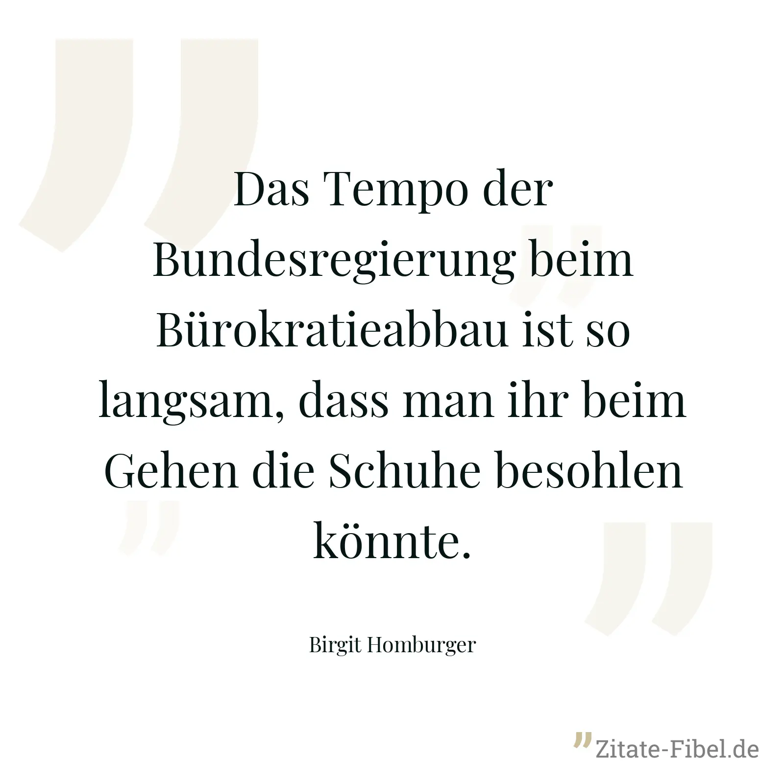 Das Tempo der Bundesregierung beim Bürokratieabbau ist so langsam, dass man ihr beim Gehen die Schuhe besohlen könnte. - Birgit Homburger