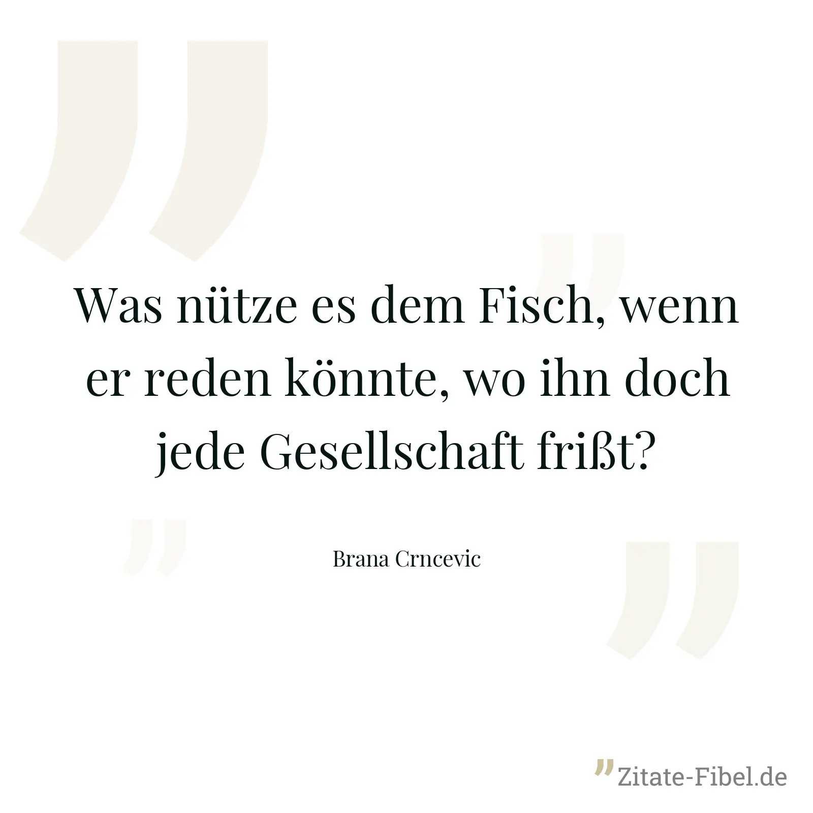 Was nütze es dem Fisch, wenn er reden könnte, wo ihn doch jede Gesellschaft frißt? - Brana Crncevic