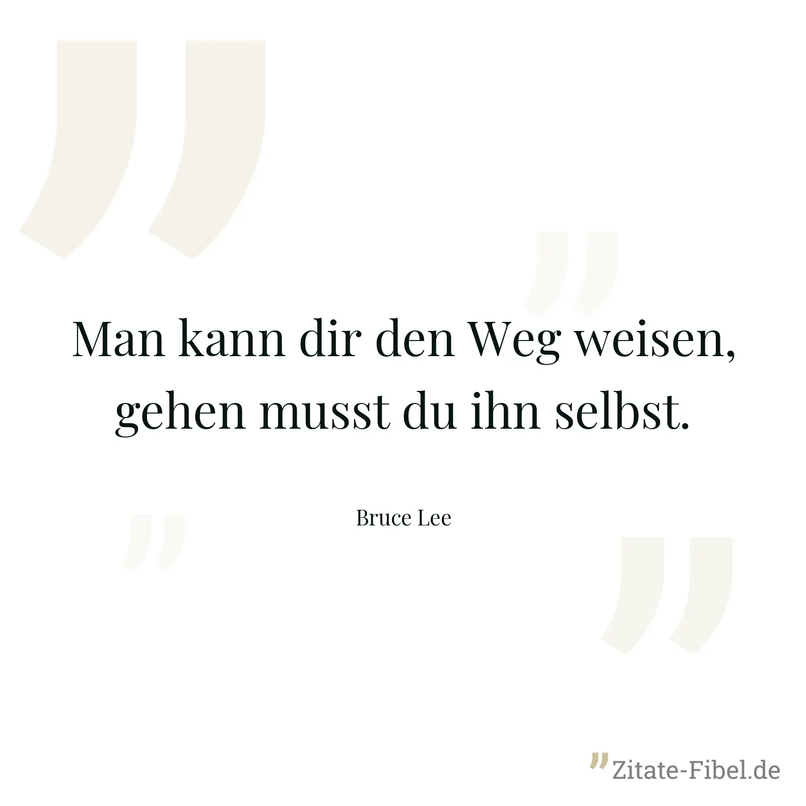Man kann dir den Weg weisen, gehen musst du ihn selbst. - Bruce Lee