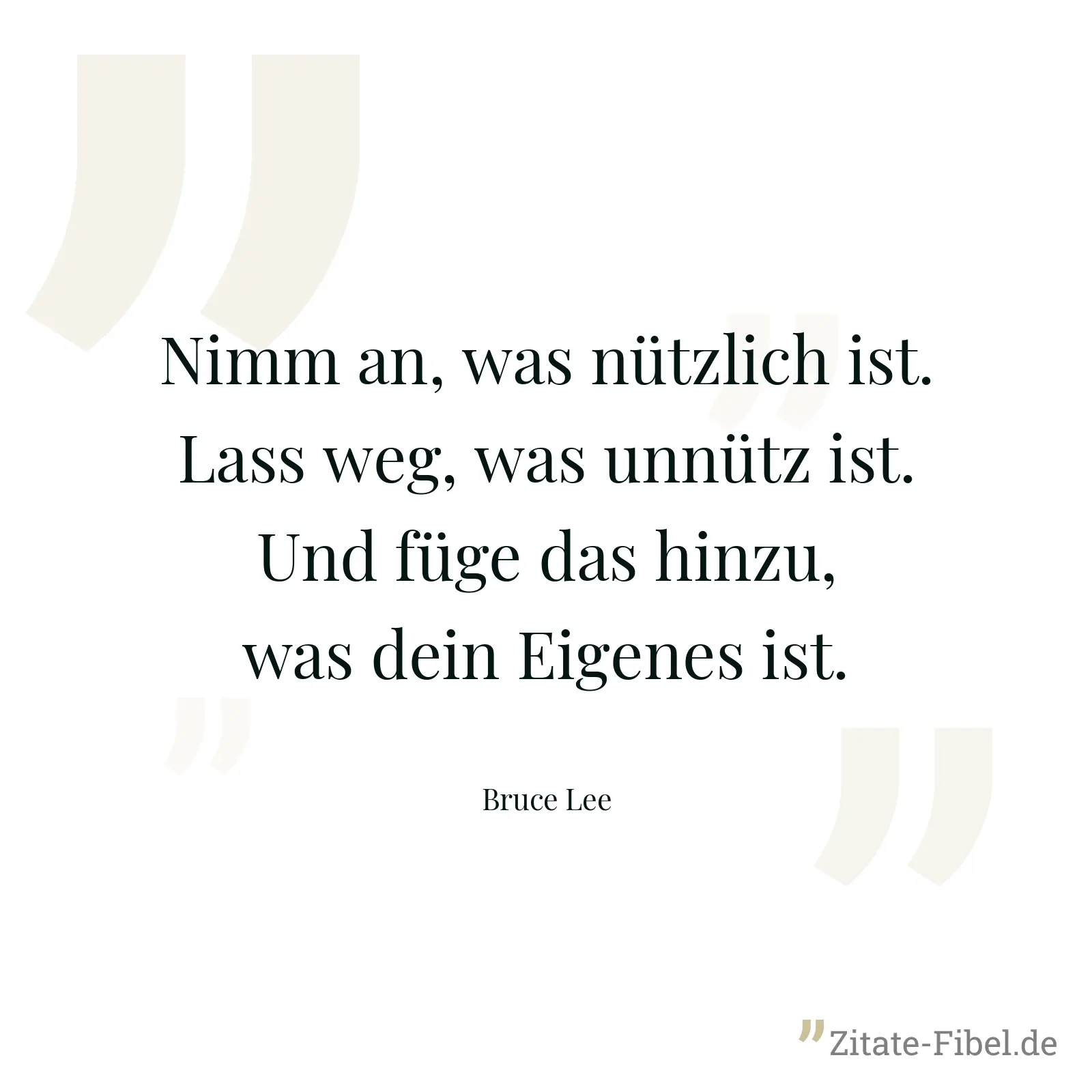 Nimm an, was nützlich ist. Lass weg, was unnütz ist. Und füge das hinzu, was dein Eigenes ist. - Bruce Lee