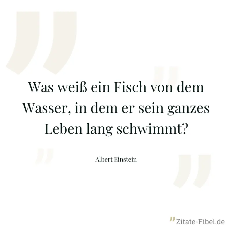 Was weiß ein Fisch von dem Wasser, in dem er sein ganzes Leben lang schwimmt? - Albert Einstein