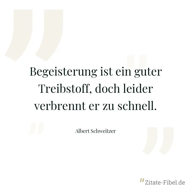 Begeisterung ist ein guter Treibstoff, doch leider verbrennt er zu schnell. - Albert Schweitzer