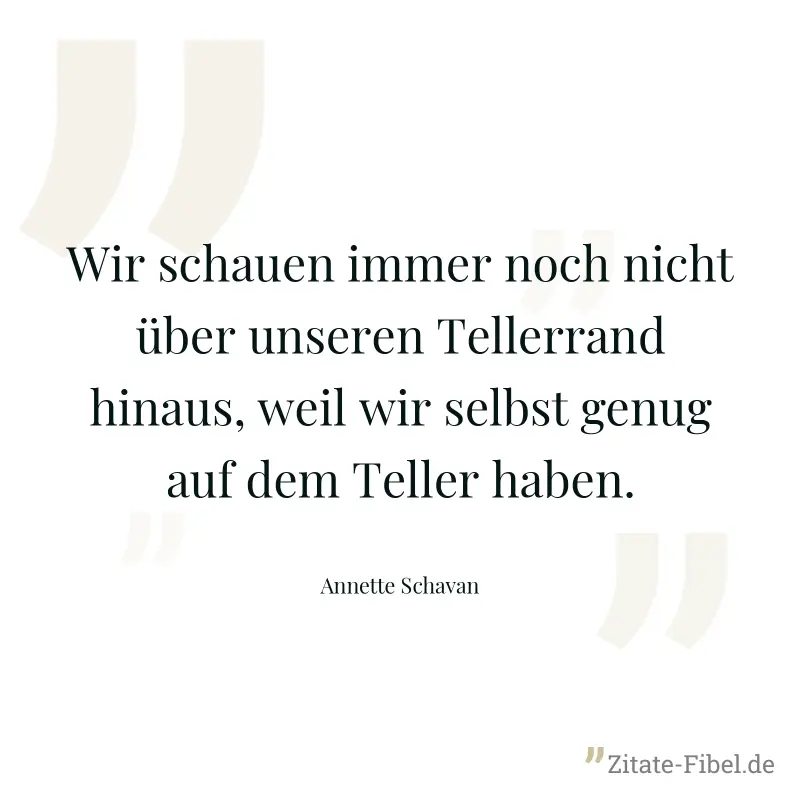 Wir schauen immer noch nicht über unseren Tellerrand hinaus, weil wir selbst genug auf dem Teller haben. - Annette Schavan