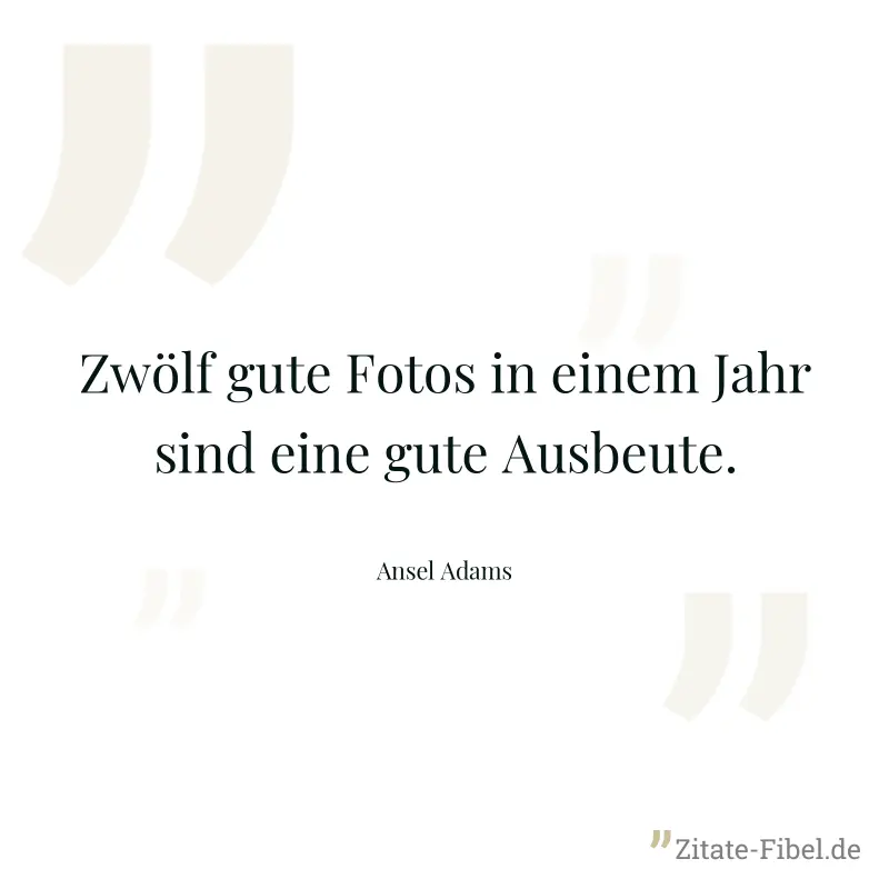 Zwölf gute Fotos in einem Jahr sind eine gute Ausbeute. - Ansel Adams