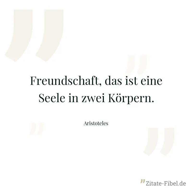 Freundschaft, das ist eine Seele in zwei Körpern. - Aristoteles