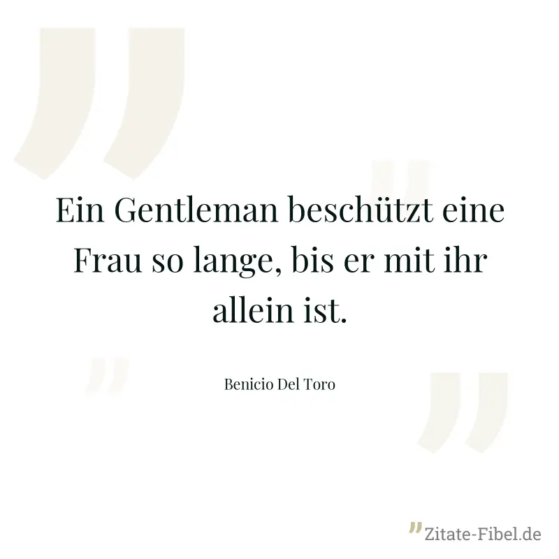 Ein Gentleman beschützt eine Frau so lange, bis er mit ihr allein ist. - Benicio Del Toro