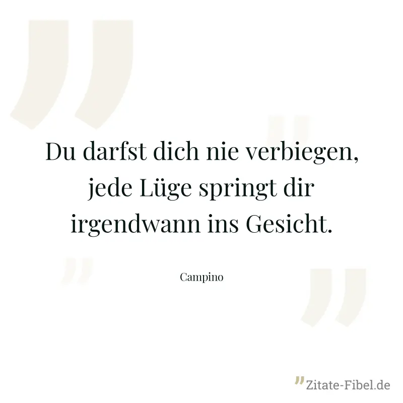 Du darfst dich nie verbiegen, jede Lüge springt dir irgendwann ins Gesicht. - Campino