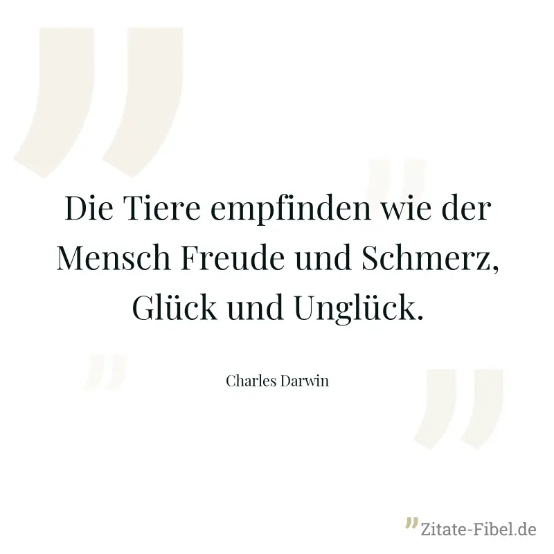 Die Tiere empfinden wie der Mensch Freude und Schmerz, Glück und Unglück. - Charles Darwin