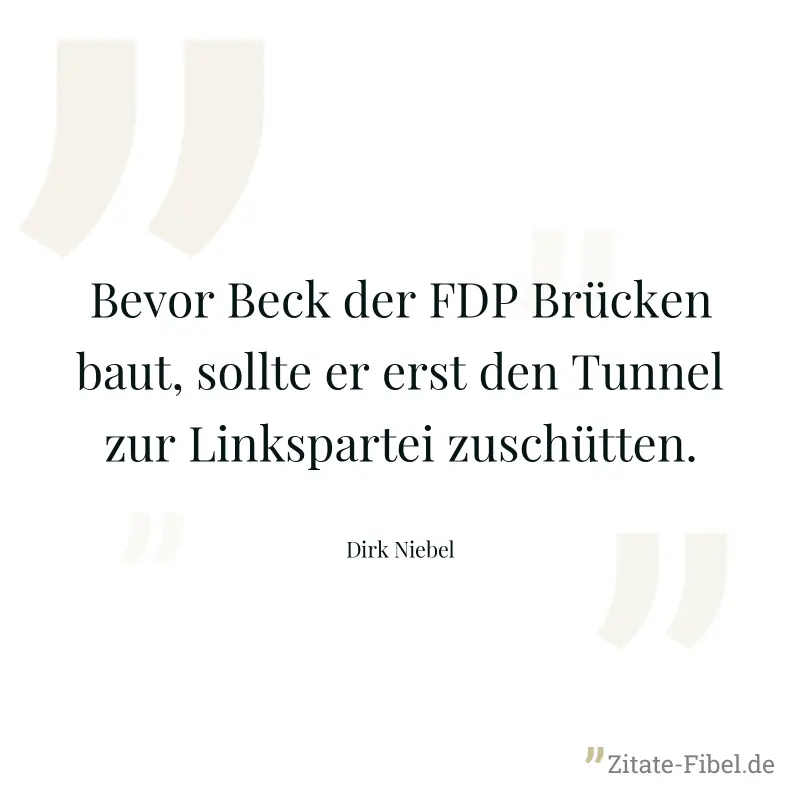 Bevor Beck der FDP Brücken baut, sollte er erst den Tunnel zur Linkspartei zuschütten. - Dirk Niebel