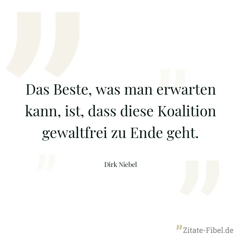 Das Beste, was man erwarten kann, ist, dass diese Koalition gewaltfrei zu Ende geht. - Dirk Niebel