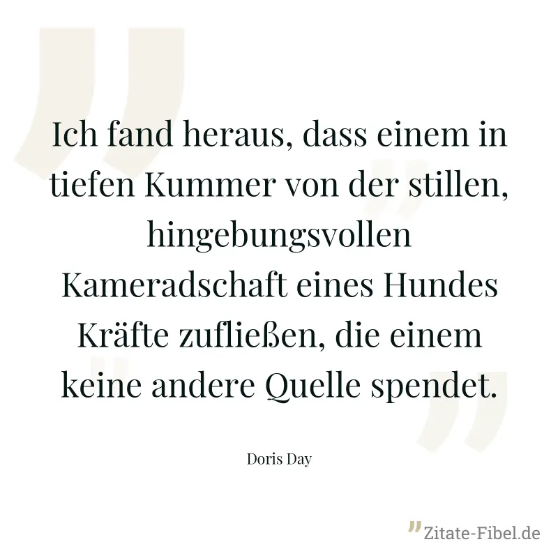 Ich fand heraus, dass einem in tiefen Kummer von der stillen, hingebungsvollen Kameradschaft eines Hundes Kräfte zufließen, die einem keine andere Quelle spendet. - Doris Day