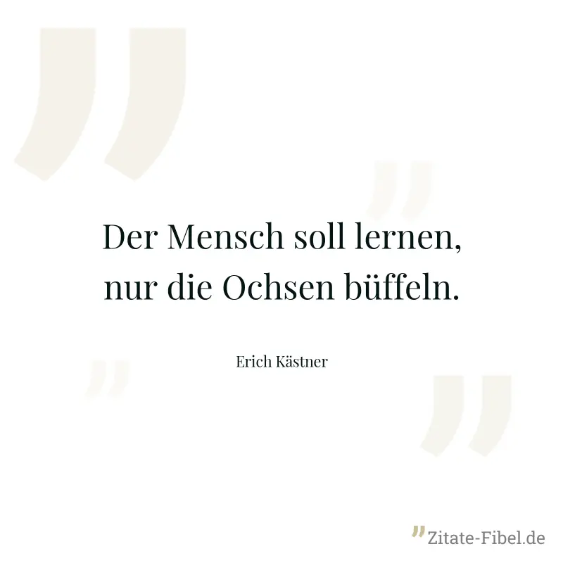 Der Mensch soll lernen, nur die Ochsen büffeln. - Erich Kästner