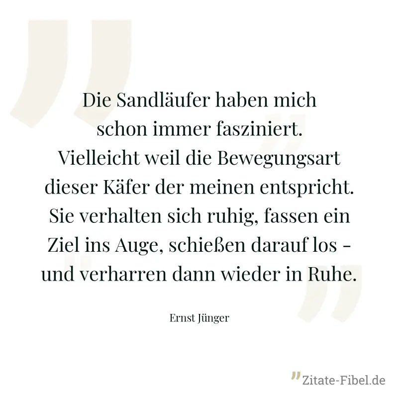 Die Sandläufer haben mich schon immer fasziniert. Vielleicht weil die Bewegungsart dieser Käfer der meinen entspricht. Sie verhalten sich ruhig, fassen ein Ziel ins Auge, schießen darauf los - und ver - Ernst Jünger