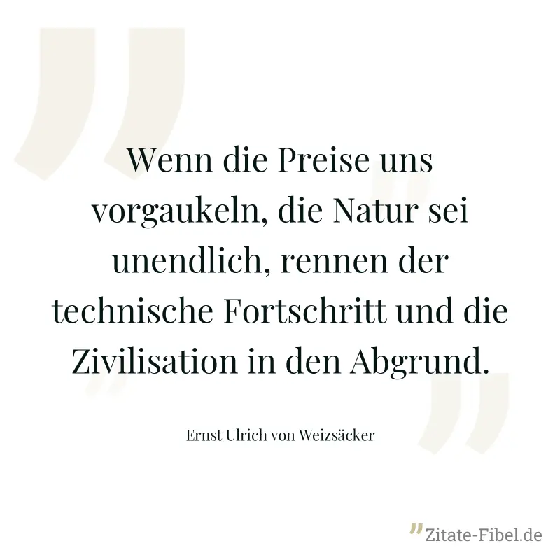 Wenn die Preise uns vorgaukeln, die Natur sei unendlich, rennen der technische Fortschritt und die Zivilisation in den Abgrund. - Ernst Ulrich von Weizsäcker