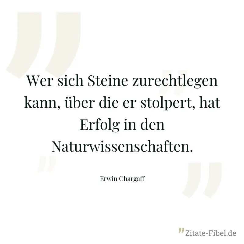Wer sich Steine zurechtlegen kann, über die er stolpert, hat Erfolg in den Naturwissenschaften. - Erwin Chargaff
