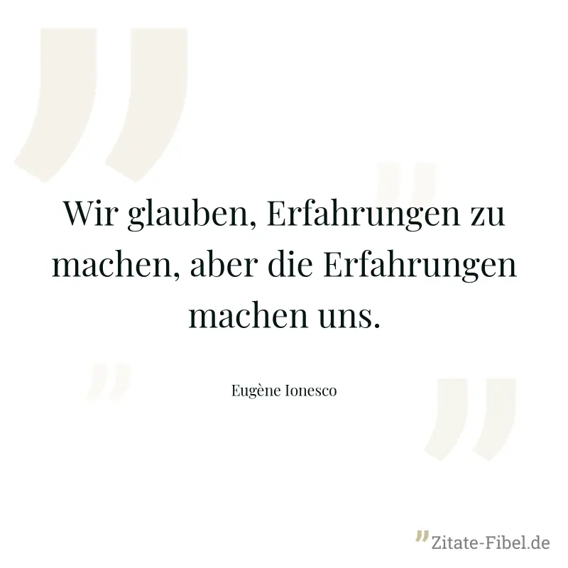 Wir glauben, Erfahrungen zu machen, aber die Erfahrungen machen uns. - Eugène Ionesco