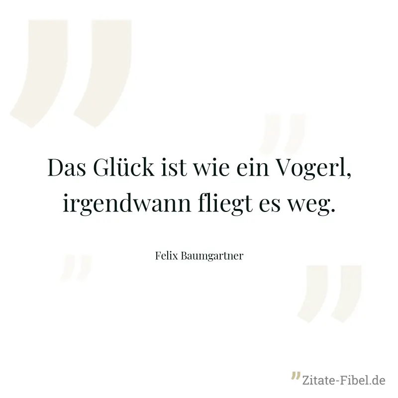 Das Glück ist wie ein Vogerl, irgendwann fliegt es weg. - Felix Baumgartner
