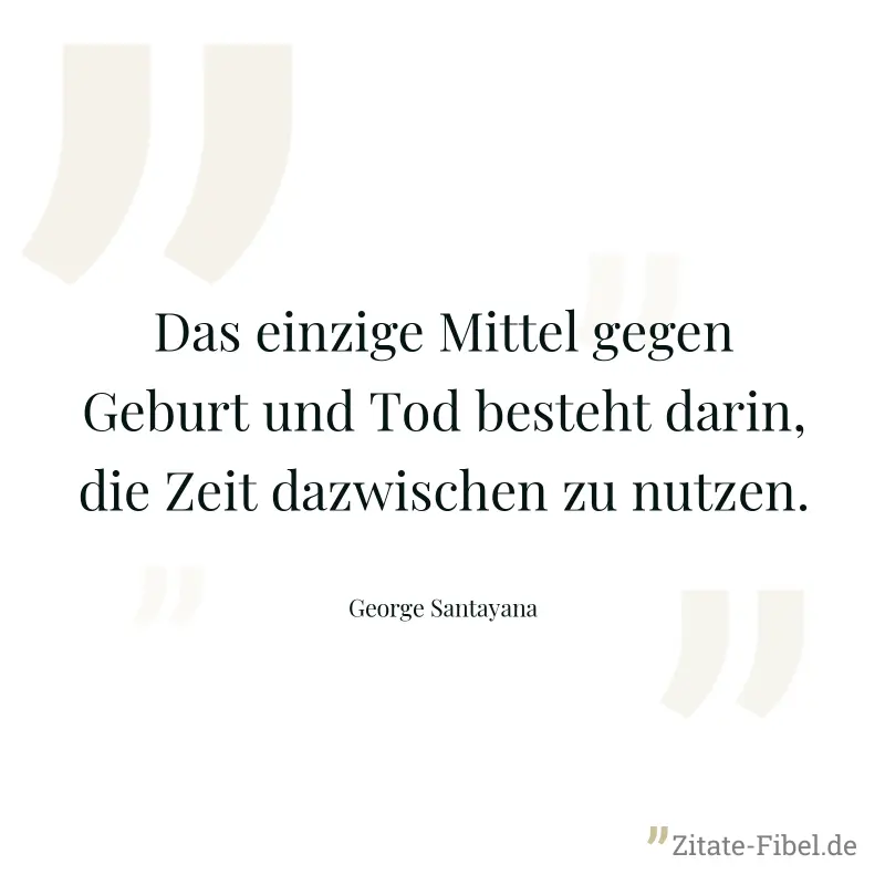 Das einzige Mittel gegen Geburt und Tod besteht darin, die Zeit dazwischen zu nutzen. - George Santayana