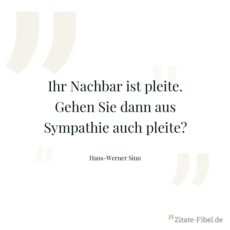 Ihr Nachbar ist pleite. Gehen Sie dann aus Sympathie auch pleite? - Hans-Werner Sinn
