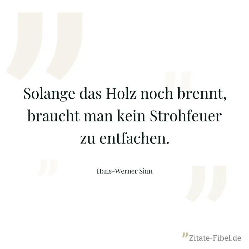 Solange das Holz noch brennt, braucht man kein Strohfeuer zu entfachen. - Hans-Werner Sinn