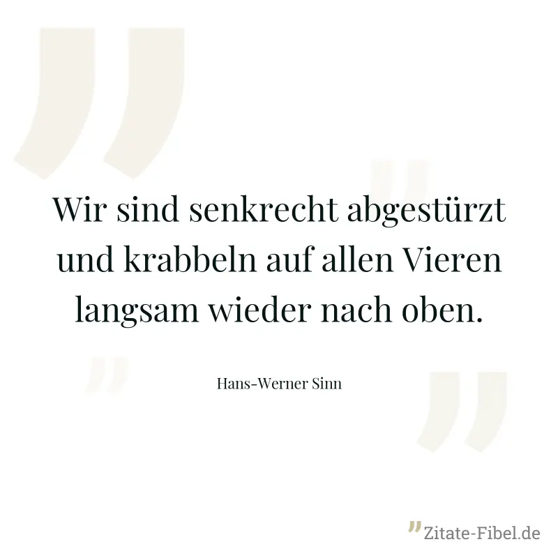 Wir sind senkrecht abgestürzt und krabbeln auf allen Vieren langsam wieder nach oben. - Hans-Werner Sinn