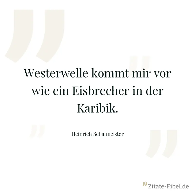 Westerwelle kommt mir vor wie ein Eisbrecher in der Karibik. - Heinrich Schafmeister