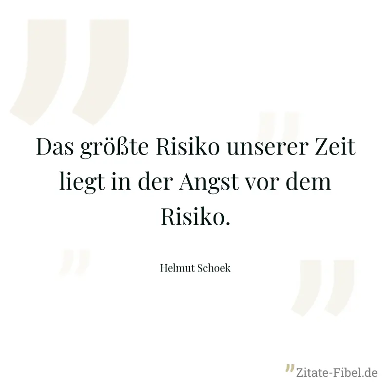 Das größte Risiko unserer Zeit liegt in der Angst vor dem Risiko. - Helmut Schoek