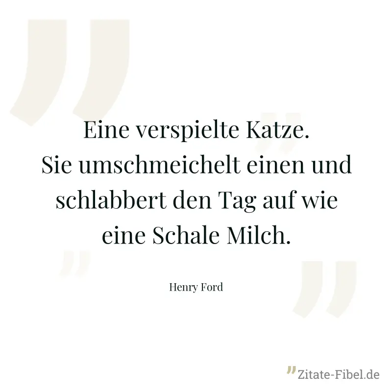 Eine verspielte Katze. Sie umschmeichelt einen und schlabbert den Tag auf wie eine Schale Milch. - Henry Ford