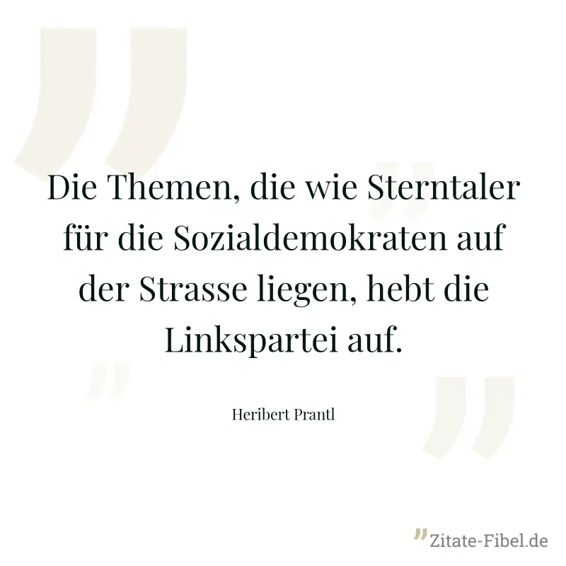 Die Themen, die wie Sterntaler für die Sozialdemokraten auf der Strasse liegen, hebt die Linkspartei auf. - Heribert Prantl