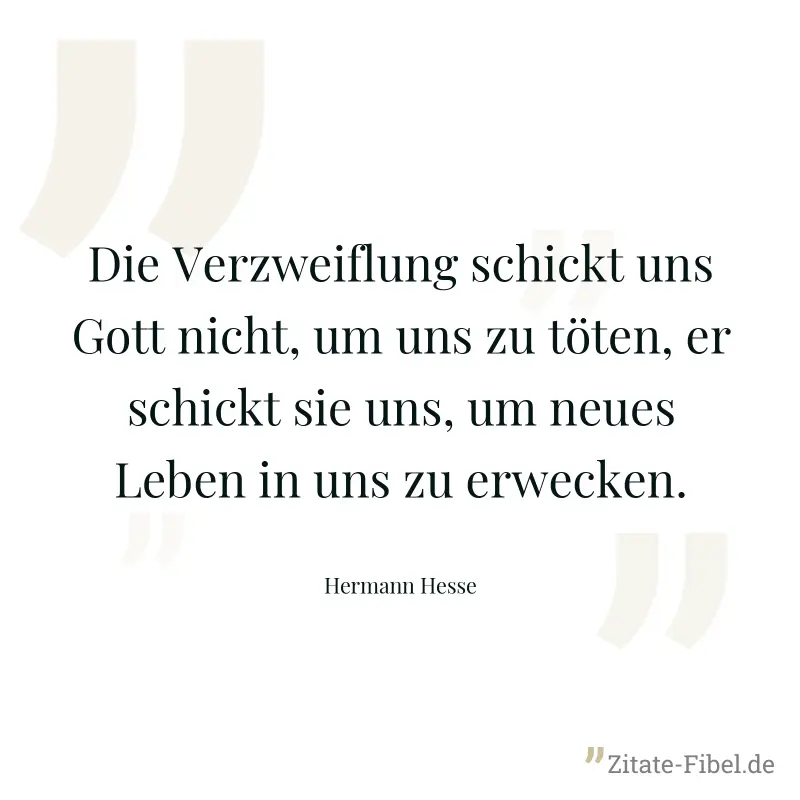 Die Verzweiflung schickt uns Gott nicht, um uns zu töten, er schickt sie uns, um neues Leben in uns zu erwecken. - Hermann Hesse