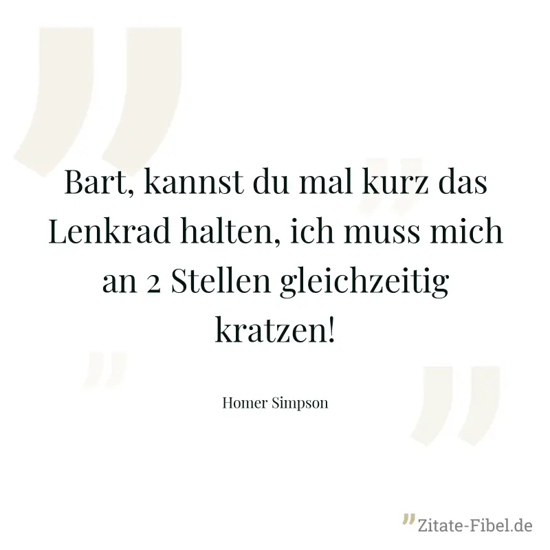 Bart, kannst du mal kurz das Lenkrad halten, ich muss mich an 2 Stellen gleichzeitig kratzen! - Homer Simpson