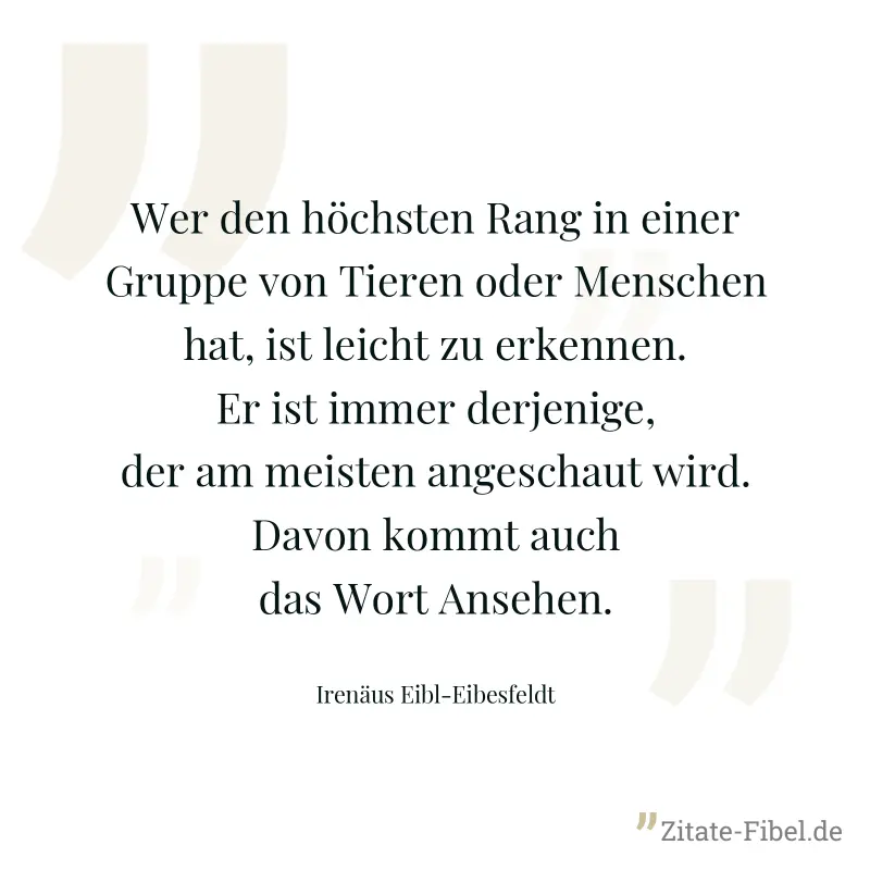 Wer den höchsten Rang in einer Gruppe von Tieren oder Menschen hat, ist leicht zu erkennen. Er ist immer derjenige, der am meisten angeschaut wird. Davon kommt auch das Wort Ansehen. - Irenäus Eibl-Eibesfeldt