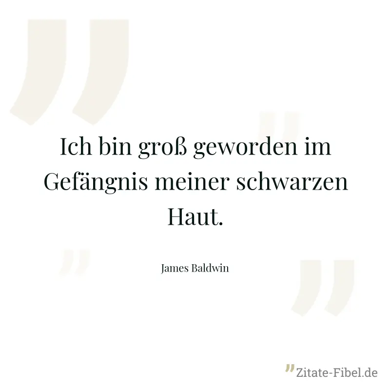 Ich bin groß geworden im Gefängnis meiner schwarzen Haut. - James Baldwin