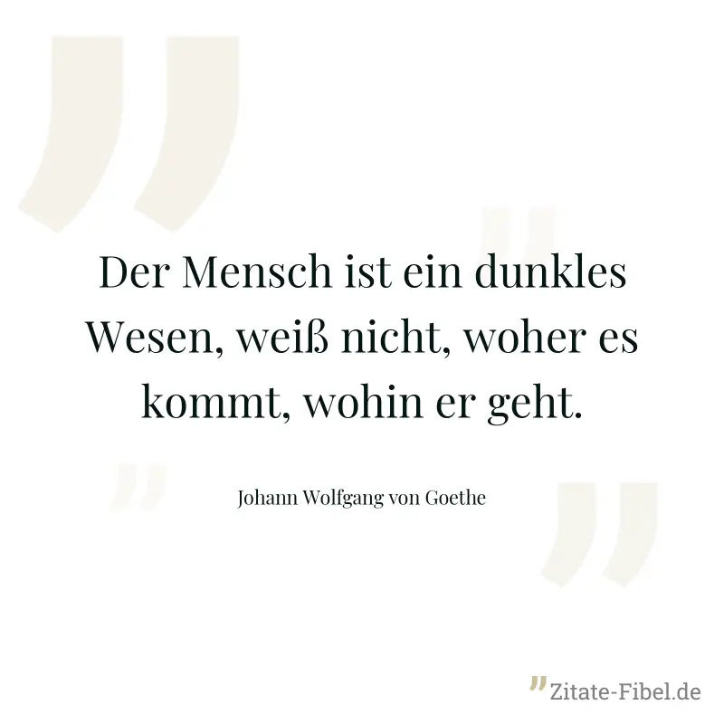 Der Mensch ist ein dunkles Wesen, weiß nicht, woher es kommt, wohin er geht. - Johann Wolfgang von Goethe