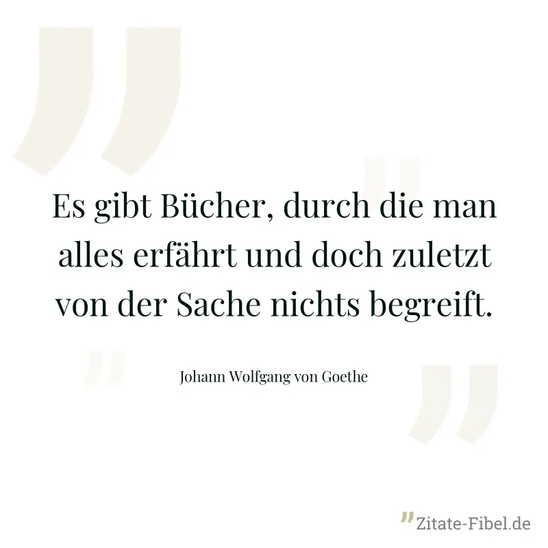 Es gibt Bücher, durch die man alles erfährt und doch zuletzt von der Sache nichts begreift. - Johann Wolfgang von Goethe