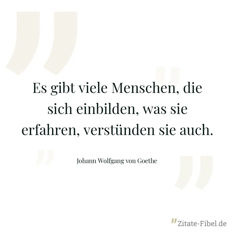 Es gibt viele Menschen, die sich einbilden, was sie erfahren, verstünden sie auch. - Johann Wolfgang von Goethe