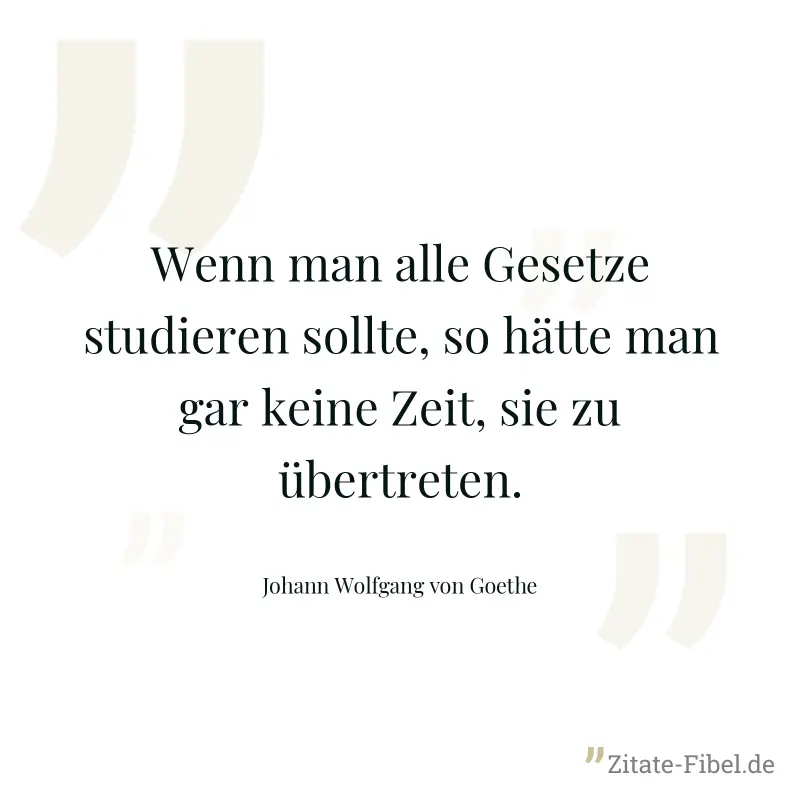 Wenn man alle Gesetze studieren sollte, so hätte man gar keine Zeit, sie zu übertreten. - Johann Wolfgang von Goethe