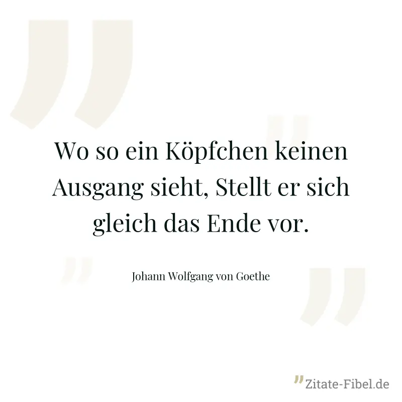 Wo so ein Köpfchen keinen Ausgang sieht, Stellt er sich gleich das Ende vor. - Johann Wolfgang von Goethe