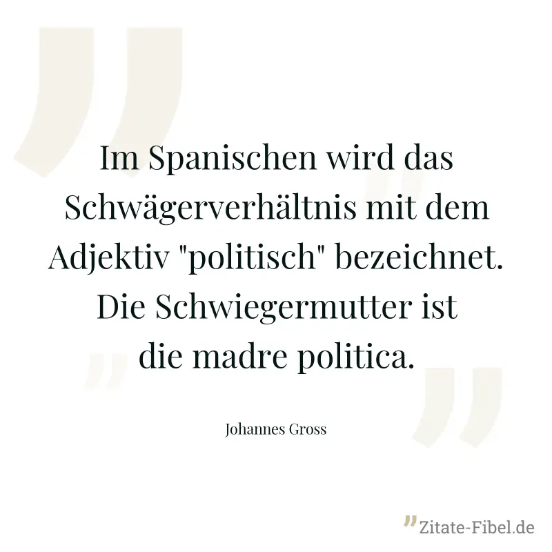 Im Spanischen wird das Schwägerverhältnis mit dem Adjektiv "politisch" bezeichnet. Die Schwiegermutter ist die madre politica. - Johannes Gross