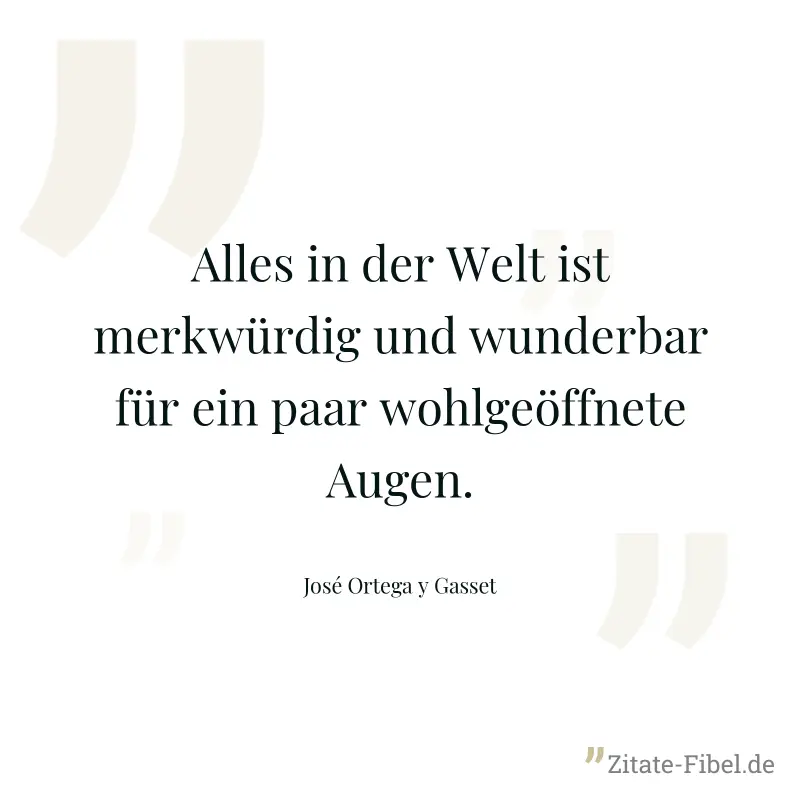 Alles in der Welt ist merkwürdig und wunderbar für ein paar wohlgeöffnete Augen. - José Ortega y Gasset