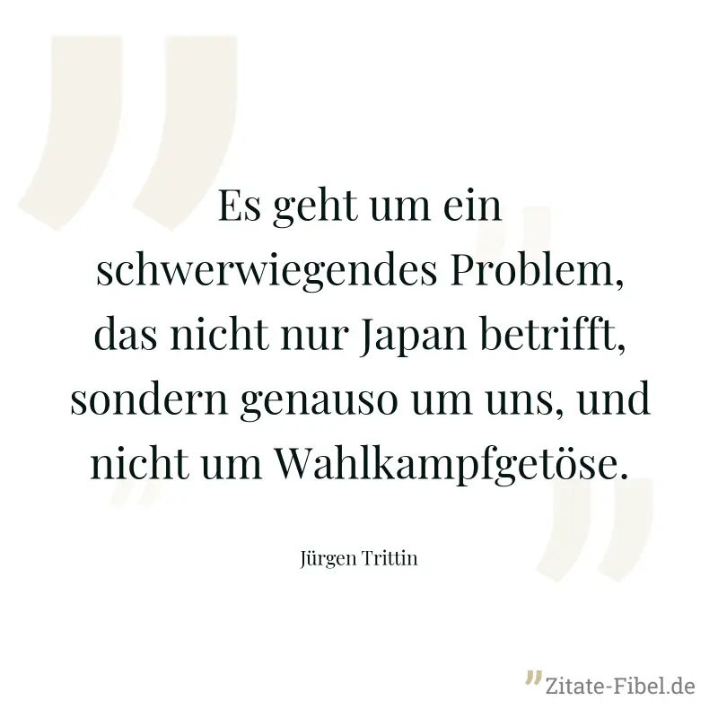 Es geht um ein schwerwiegendes Problem, das nicht nur Japan betrifft, sondern genauso um uns, und nicht um Wahlkampfgetöse. - Jürgen Trittin