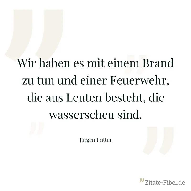 Wir haben es mit einem Brand zu tun und einer Feuerwehr, die aus Leuten besteht, die wasserscheu sind. - Jürgen Trittin